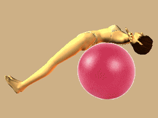 �Х�󥹥ܡ��륨�������������˥�01