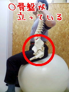 ���������Ս���