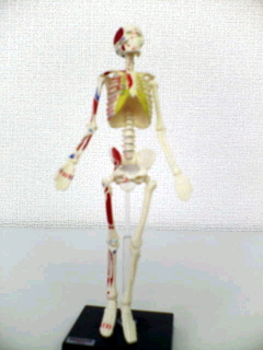 ���i����