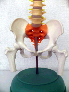 ���Ր���